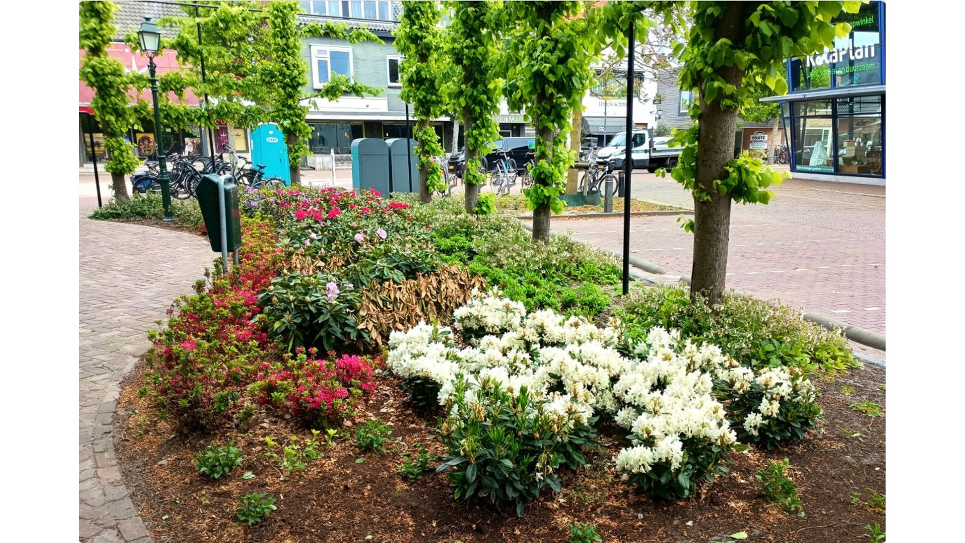 Foto: dingstal bloemen en planten castricum.jpg